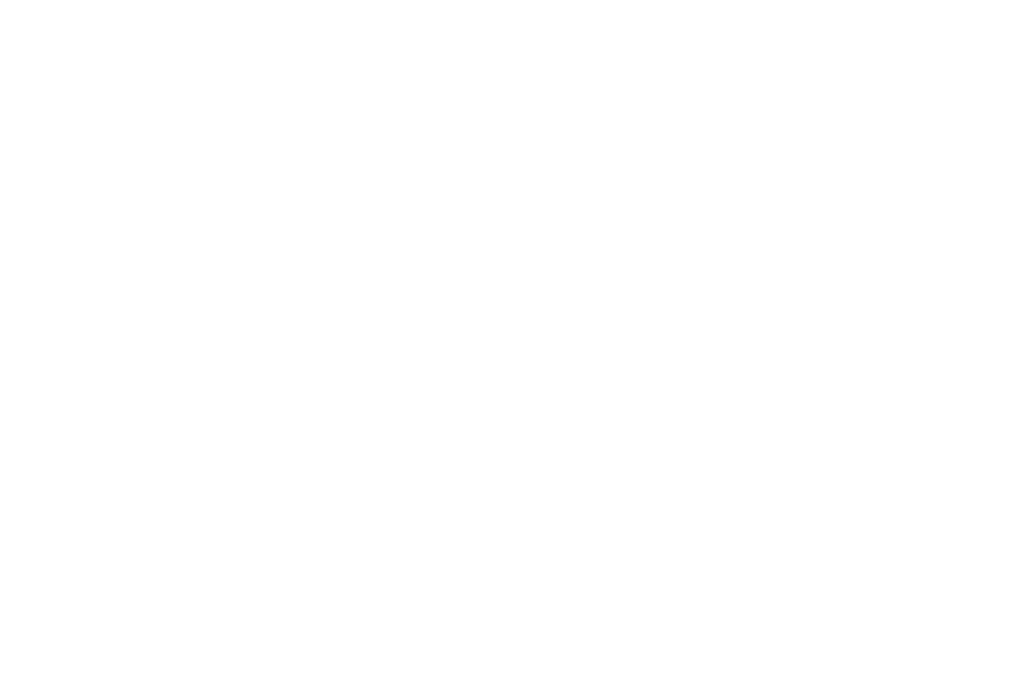 The Lucky Ones